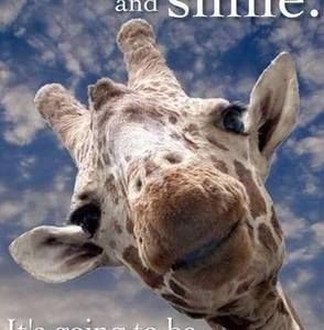 Meet your Posher, Jodie